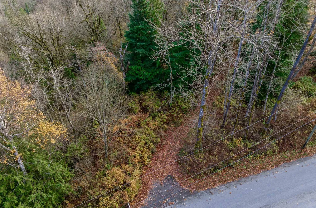 LT.4 OHMAN ROAD, Mission BC V0M 1N0, Mission BC — Land for Sale - Photo 5