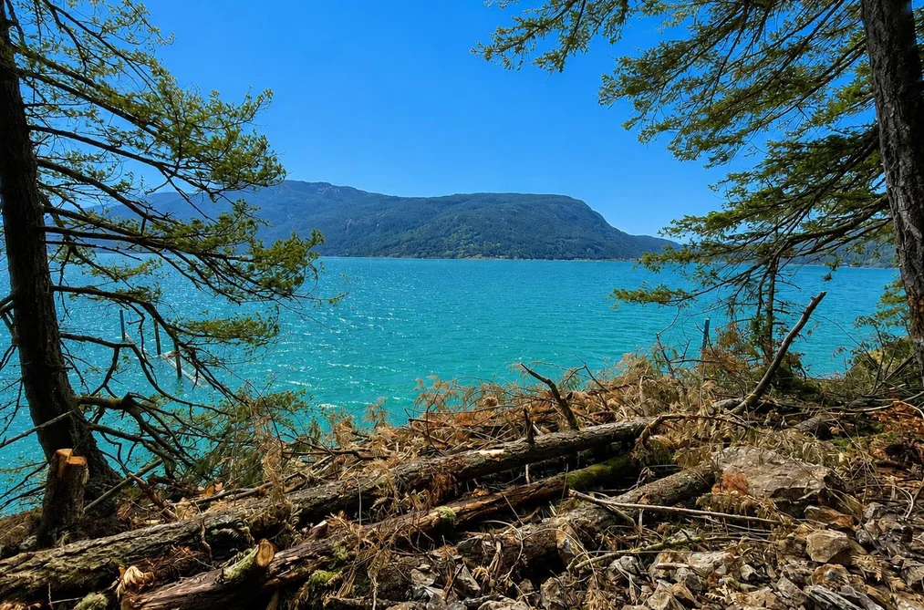 PCL B HARRISON LAKE, Harrison Hot Springs BC V0M 1K0, Harrison Hot Springs BC — Land for Sale - Photo 2