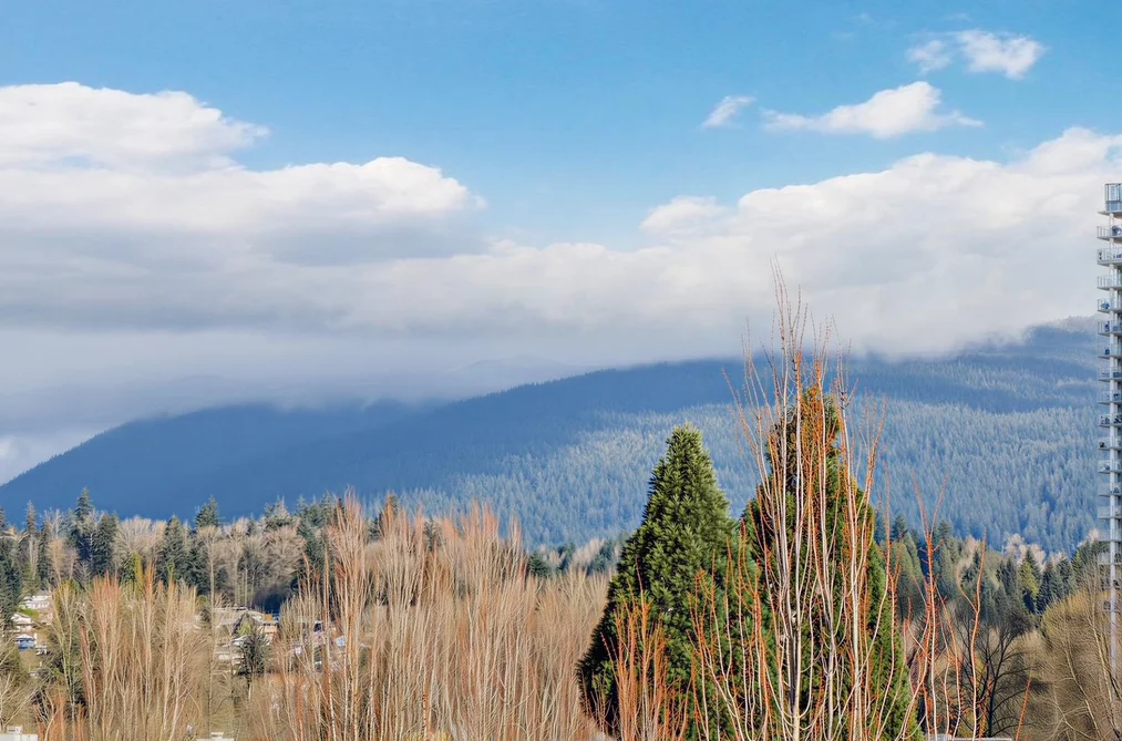 PH05 223 MOUNTAIN HIGHWAY, North Vancouver BC V7J 3V3, North Vancouver BC — Residential for Sale - Photo 5