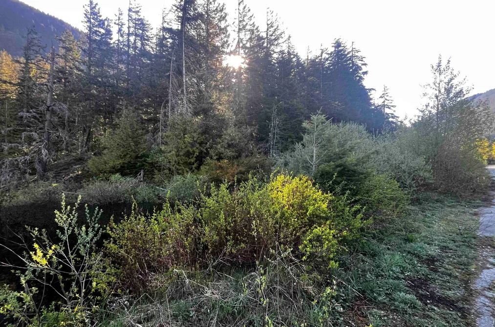 Property for sale at Rll1 Strawberry Lane Hope British Columbia - MLS: R3120511