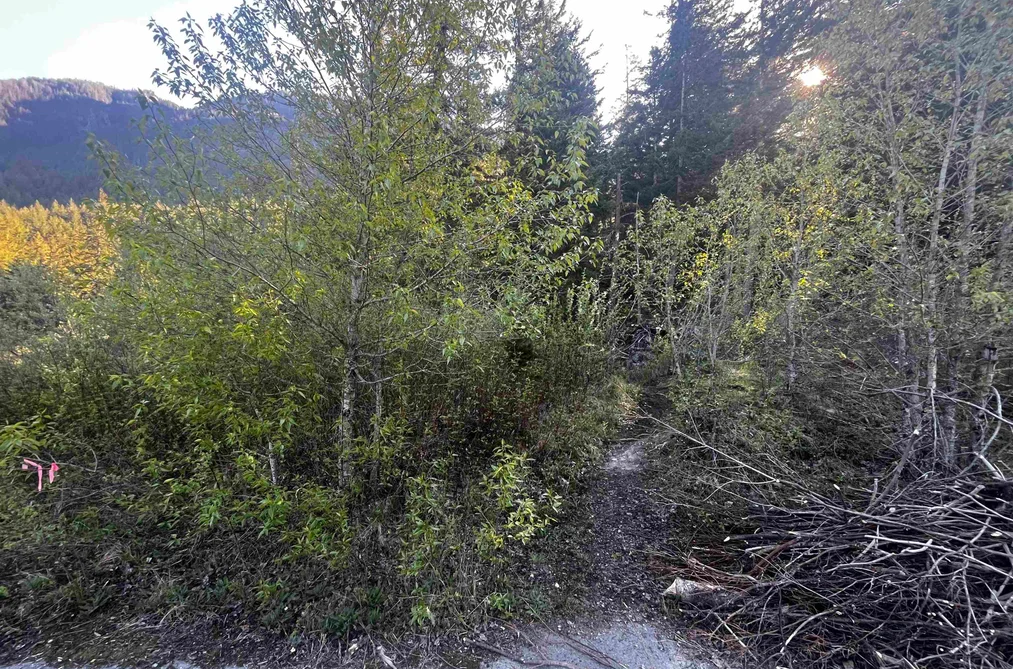 RLL1 STRAWBERRY LANE, Hope BC V0X 1L5, Hope BC — Land for Sale - Photo 4
