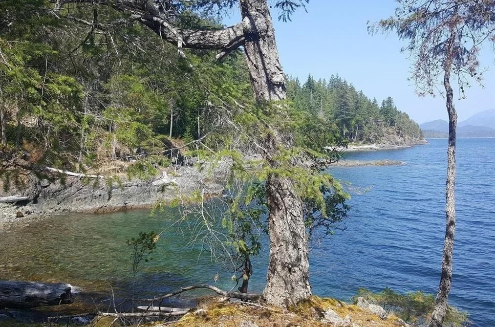 Property for sale at Site 6 1846 Tiber Bay Road No City Value British Columbia - MLS: R3109062