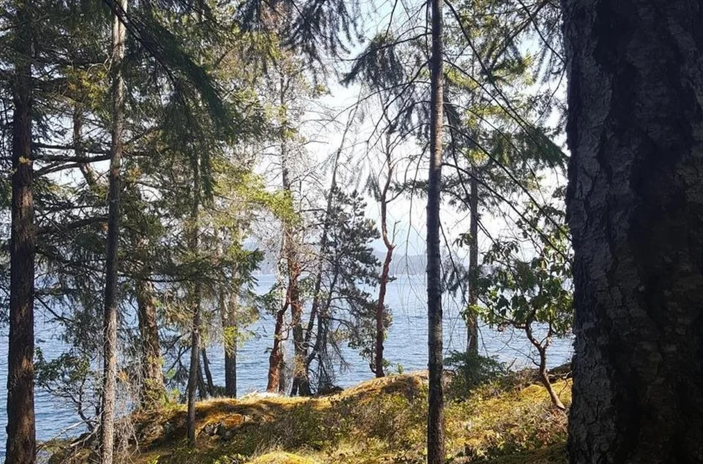 SITE 6 1846 TIBER BAY ROAD, No City Value BC V0P 1K0, No City Value BC — Land for Sale - Photo 2