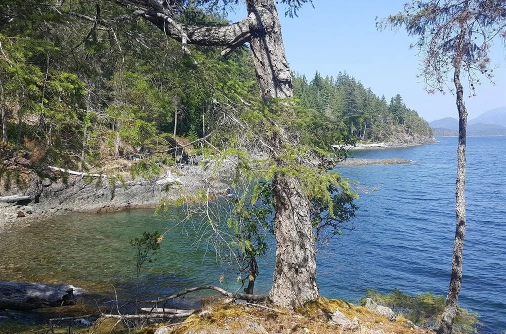 SITE 6 1846 TIBER BAY ROAD, No City Value BC V0P 1K0, No City Value BC — Land for Sale - Photo 3