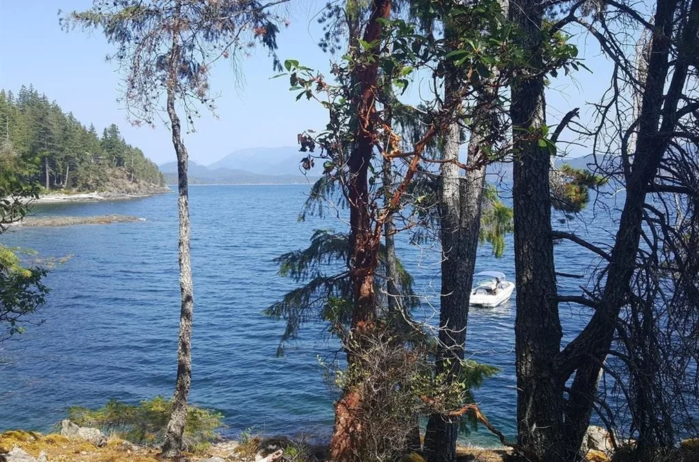 SITE 6 1846 TIBER BAY ROAD, No City Value BC V0P 1K0, No City Value BC — Land for Sale - Photo 4