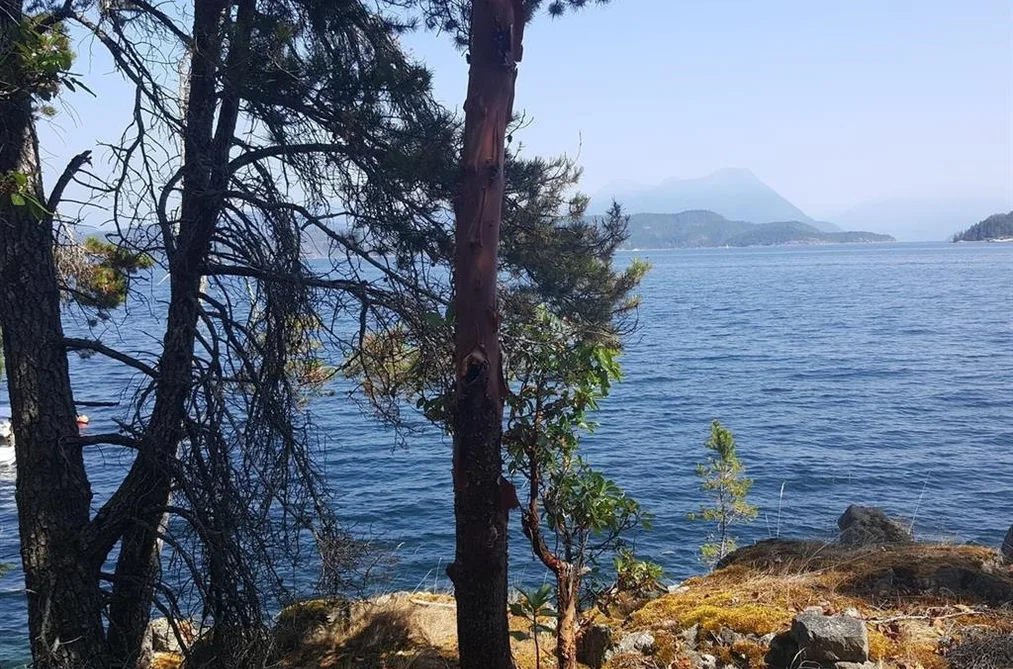 SITE 6 1846 TIBER BAY ROAD, No City Value BC V0P 1K0, No City Value BC — Land for Sale - Photo 5