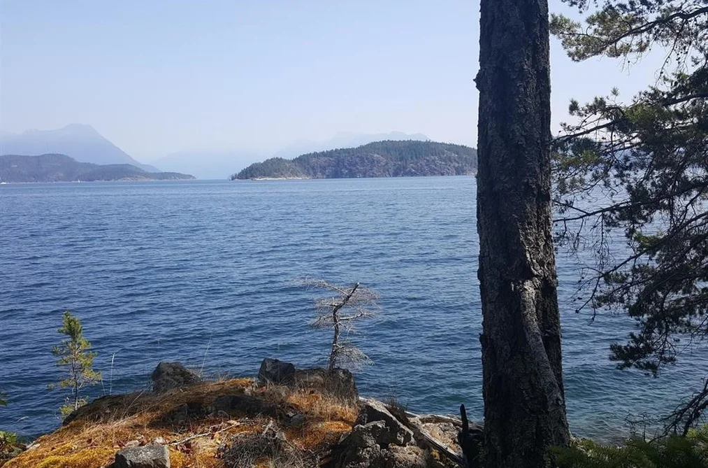 SITE 6 1846 TIBER BAY ROAD, No City Value BC V0P 1K0, No City Value BC — Land for Sale - Photo 7