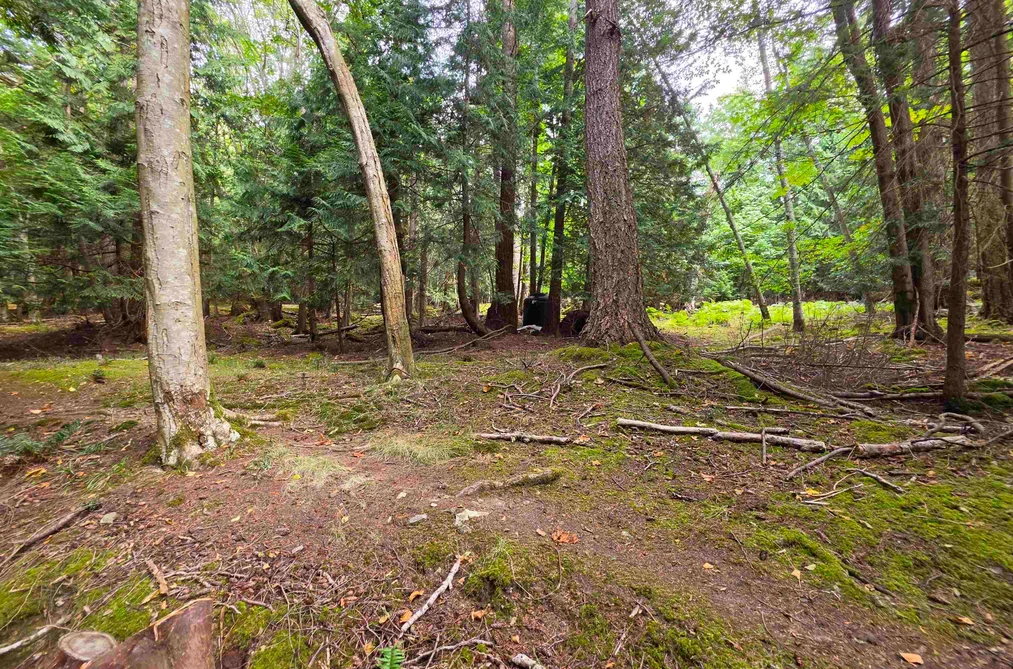 Site 8 Sc 122 Bowyer Island Estates, West Vancouver, BC - MLS: R3163778 - Photo 27 Site 8 Sc 122 Bowyer Island Estates, West Vancouver, BC - MLS: R3163778 - Photo 27