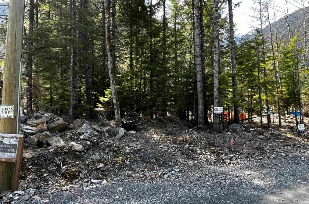 SVE29 OLD HOPE PRINCETON HIGHWAY, Sunshine Valley BC V0X 1L5, Sunshine Valley BC — Land for Sale - Photo 3