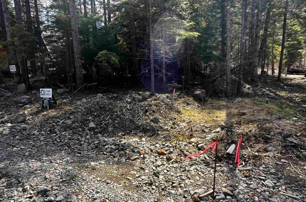 SVE29 OLD HOPE PRINCETON HIGHWAY, Sunshine Valley BC V0X 1L5, Sunshine Valley BC — Land for Sale - Photo 4