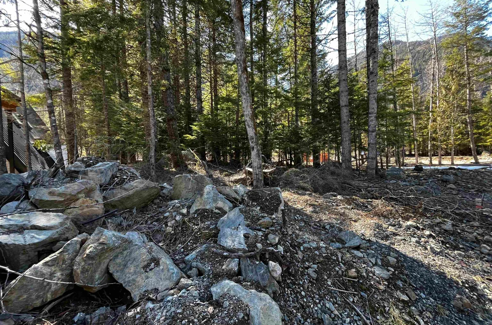 SVE29 OLD HOPE PRINCETON HIGHWAY, Sunshine Valley BC V0X 1L5, Sunshine Valley BC — Land for Sale - Photo 6