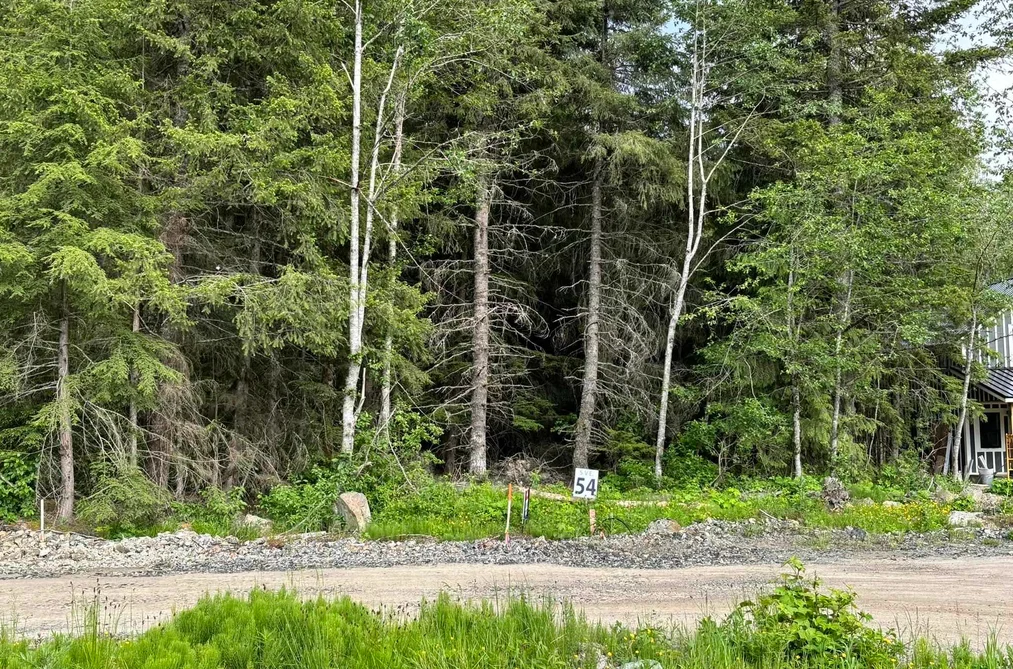 Property for sale at Sve54 Old Hope Princeton Highway Hope British Columbia - MLS: R2953673