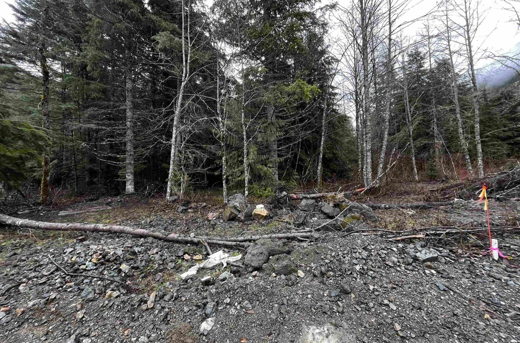 SVE54 OLD HOPE PRINCETON HIGHWAY, Hope BC V0X 1L5, Hope BC — Land for Sale - Photo 2
